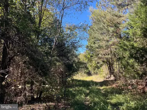 0 Twymans Mill Rd, Madison, VA 22719 photo 23