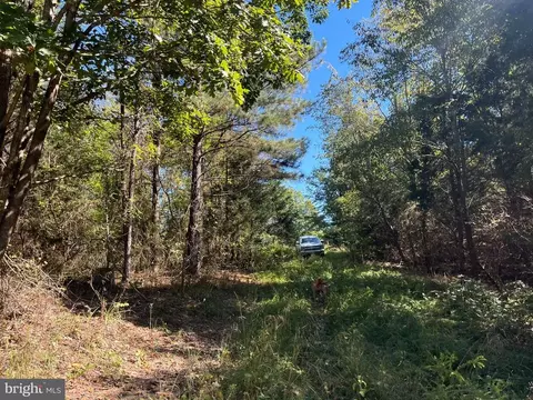 0 Twymans Mill Rd, Madison, VA 22719 photo 6