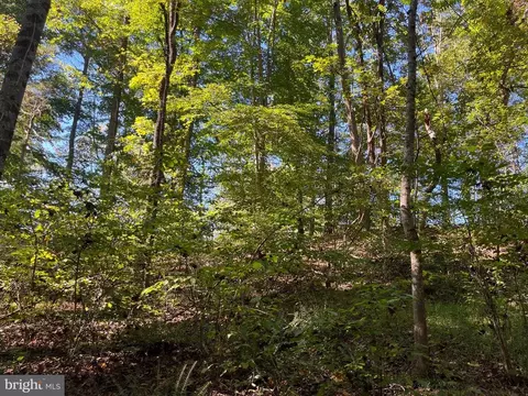 0 Twymans Mill Rd, Madison, VA 22719 photo 18
