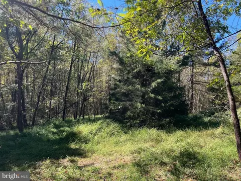 0 Twymans Mill Rd, Madison, VA 22719 photo 22