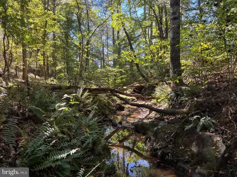 0 Twymans Mill Rd, Madison, VA 22719 photo 2