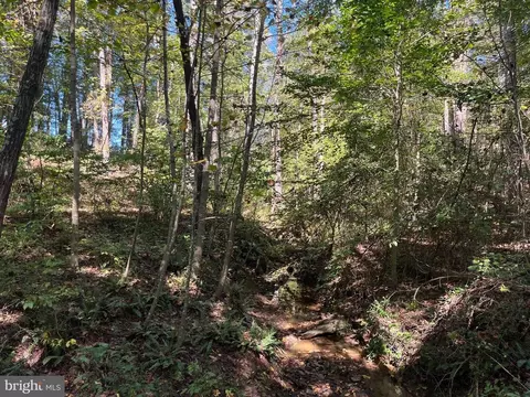 0 Twymans Mill Rd, Madison, VA 22719 photo 20