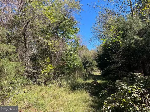 0 Twymans Mill Rd, Madison, VA 22719 photo 9