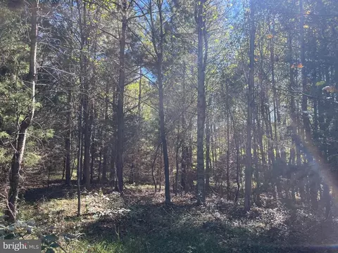 0 Twymans Mill Rd, Madison, VA 22719 photo 8