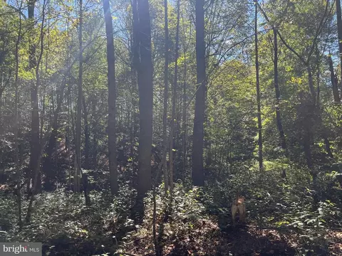 0 Twymans Mill Rd, Madison, VA 22719 photo 13