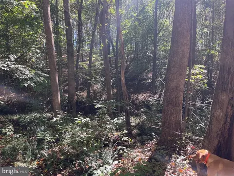 0 Twymans Mill Rd, Madison, VA 22719 photo 15
