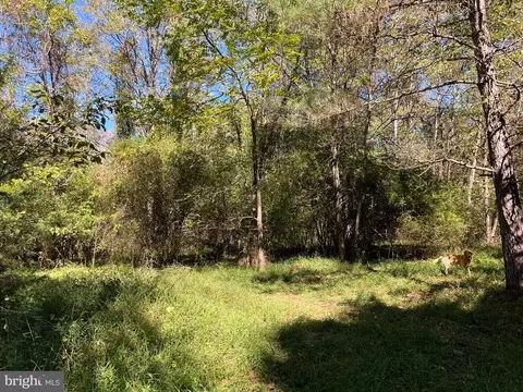 0 Twymans Mill Rd, Madison, VA 22719 photo 5