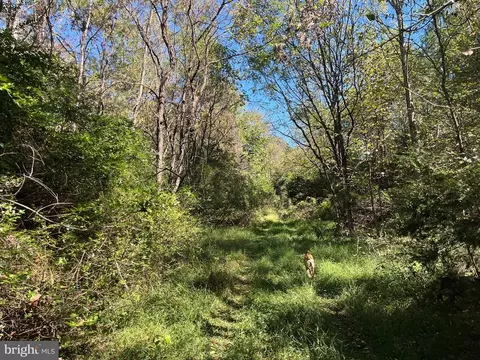 0 Twymans Mill Rd, Madison, VA 22719 photo 10