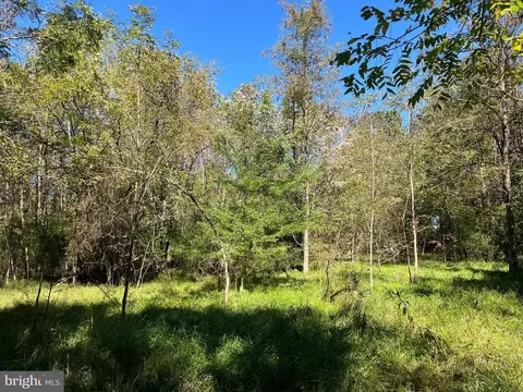 0 Twymans Mill Rd, Madison, VA 22719 photo 24