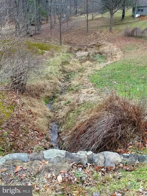 1935 Champe Plain Rd, Etlan, VA 22719 photo 6