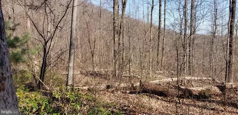 Flat Top Rd, Madison, VA 22727 photo 5