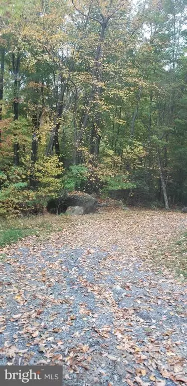Flat Top Rd, Madison, VA 22727 photo 8
