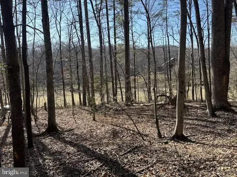 Duet Road, Madison, VA 22727