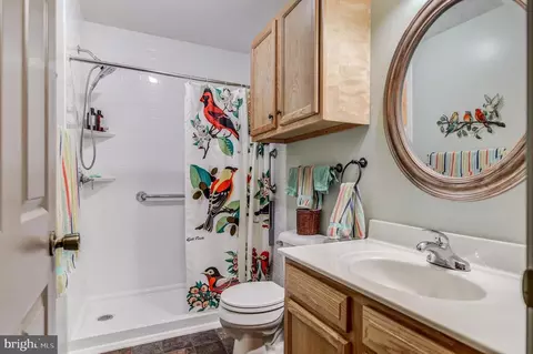 699 George James Loop, Radiant, VA 22732 photo 21