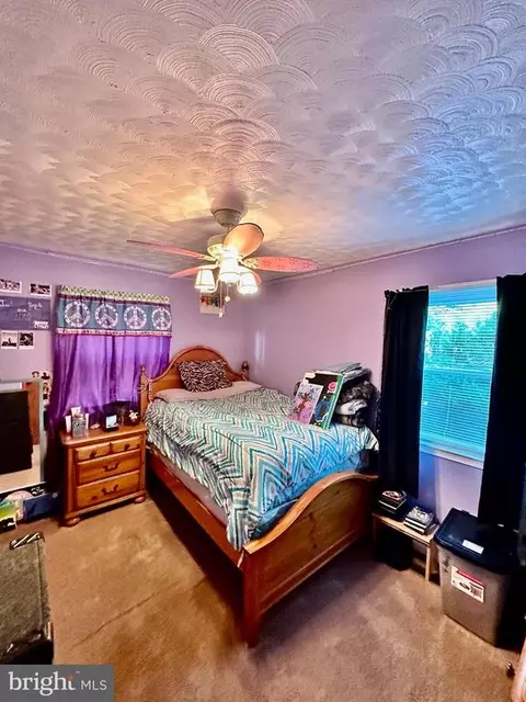 1330 Leon Rd, Culpeper, VA 22701 photo 15