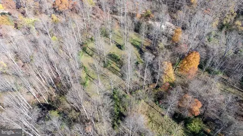 Pine Torch, Madison, VA 22727 photo 15