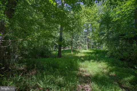 Pine Torch, Madison, VA 22727 photo 5