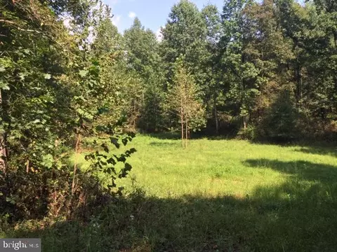 Pine Torch, Madison, VA 22727 photo 35