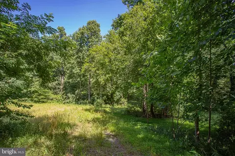 Pine Torch, Madison, VA 22727 photo 2