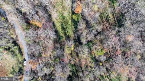 Pine Torch, Madison, VA 22727 photo 12