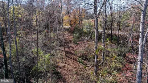 Pine Torch, Madison, VA 22727 photo 24