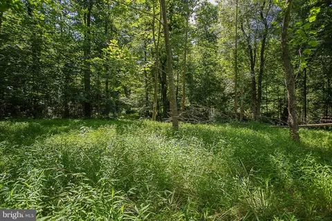 Pine Torch, Madison, VA 22727 photo 8