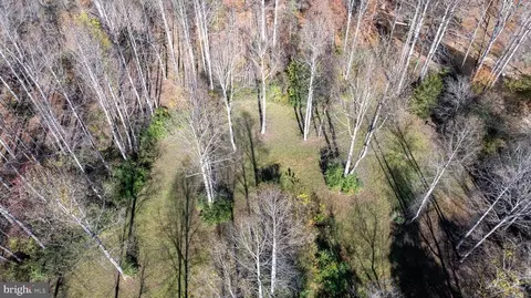 Pine Torch, Madison, VA 22727 photo 27