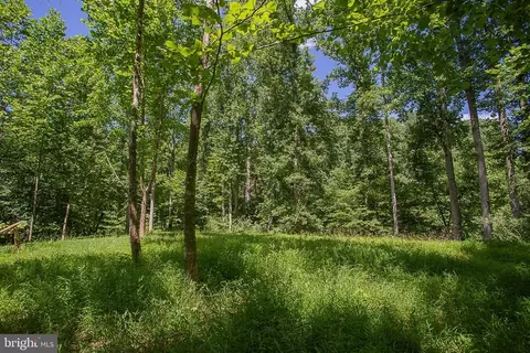 Pine Torch, Madison, VA 22727 photo 6