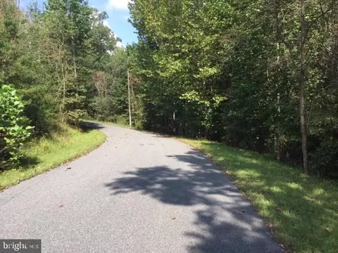 Pine Torch, Madison, VA 22727 photo 36