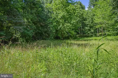 Pine Torch, Madison, VA 22727 photo 3