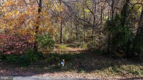 Pine Torch, Madison, VA 22727 photo 20