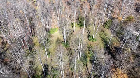Pine Torch, Madison, VA 22727 photo 26