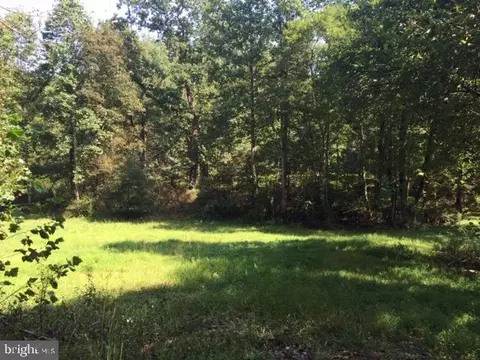 Pine Torch, Madison, VA 22727 photo 34