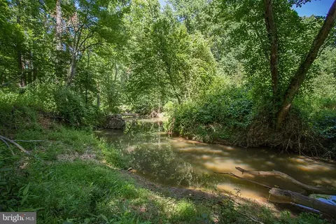 Pine Torch, Madison, VA 22727 photo 10