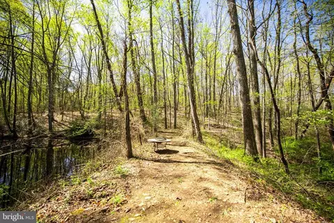 2905 Twymans Mill Rd, Madison, VA 22727 photo 18