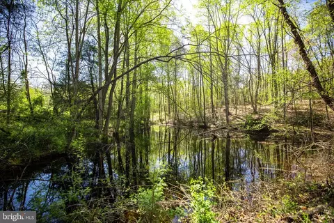 2905 Twymans Mill Rd, Madison, VA 22727 photo 21