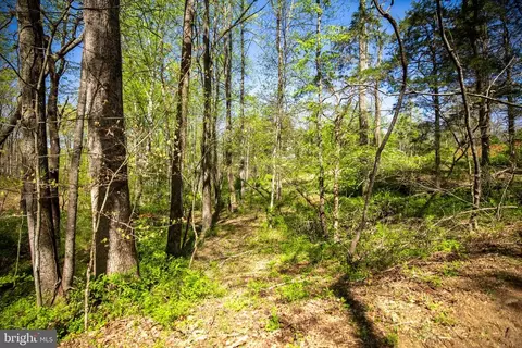 2905 Twymans Mill Rd, Madison, VA 22727 photo 20