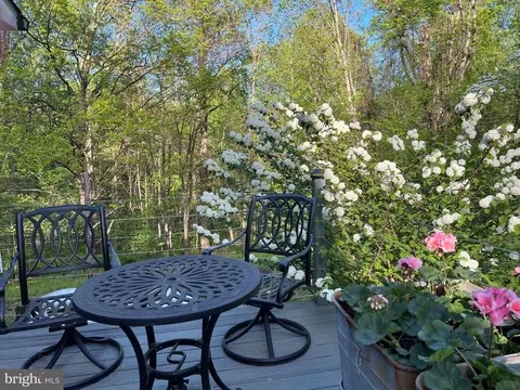 603 Leathers Ln, Etlan, VA 22719 photo 63