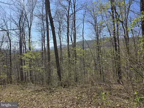 S Ft Valley Rd, Madison, VA 22727
