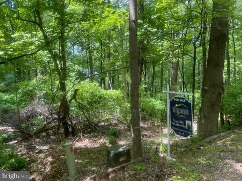 Dogwood Ln, Nellysford, VA 22958