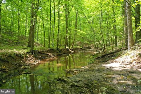 S Powells Island Rd, Arrington, VA 22922