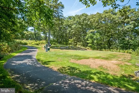 967 Devils Knob Loop, Roseland, VA 22967 photo 13