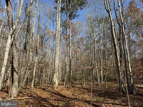 Off Piney Mountain Lane, Shipman, VA 22971 photo 16
