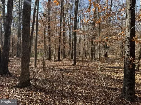 Off Piney Mountain Lane, Shipman, VA 22971 photo 19