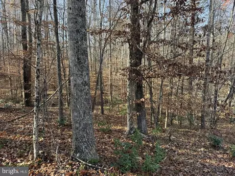 Off Piney Mountain Lane, Shipman, VA 22971 photo 20