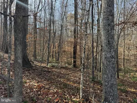 Off Piney Mountain Lane, Shipman, VA 22971 photo 21