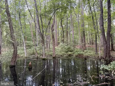 Glade Rd, Shipman, VA 22971 photo 23