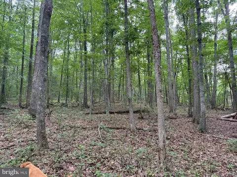 Glade Rd, Shipman, VA 22971 photo 16