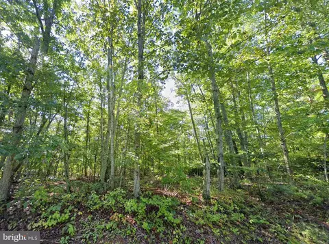 Laurel Rd, Shipman, VA 22971 photo 7