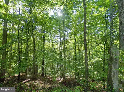 Laurel Rd, Shipman, VA 22971 photo 8
